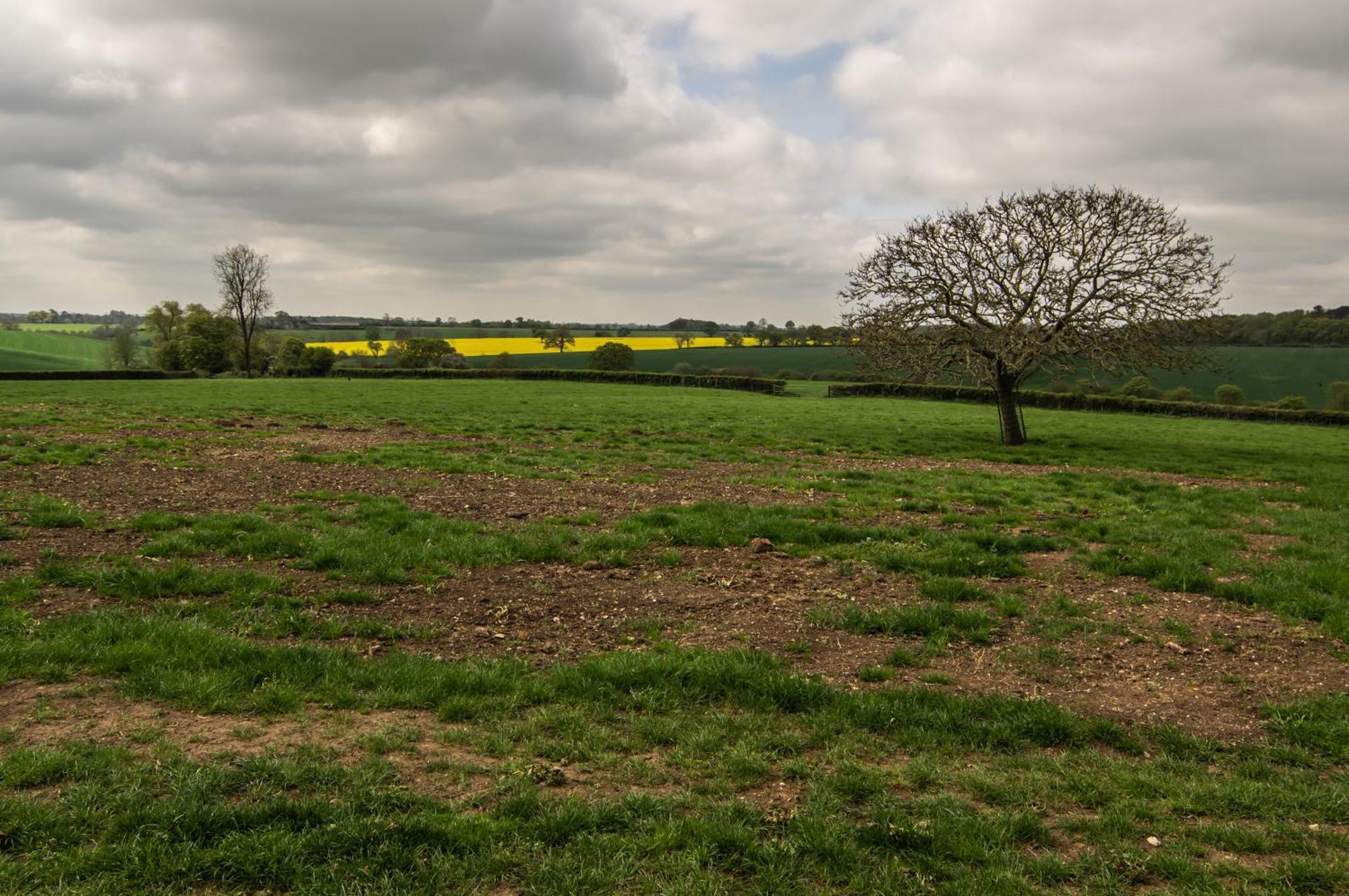 Parkfields Barns Self Catering Accommodation باكنغهام المظهر الخارجي الصورة
