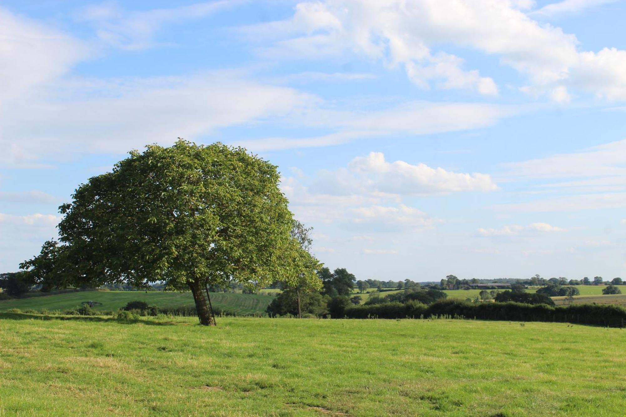 Parkfields Barns Self Catering Accommodation باكنغهام المظهر الخارجي الصورة