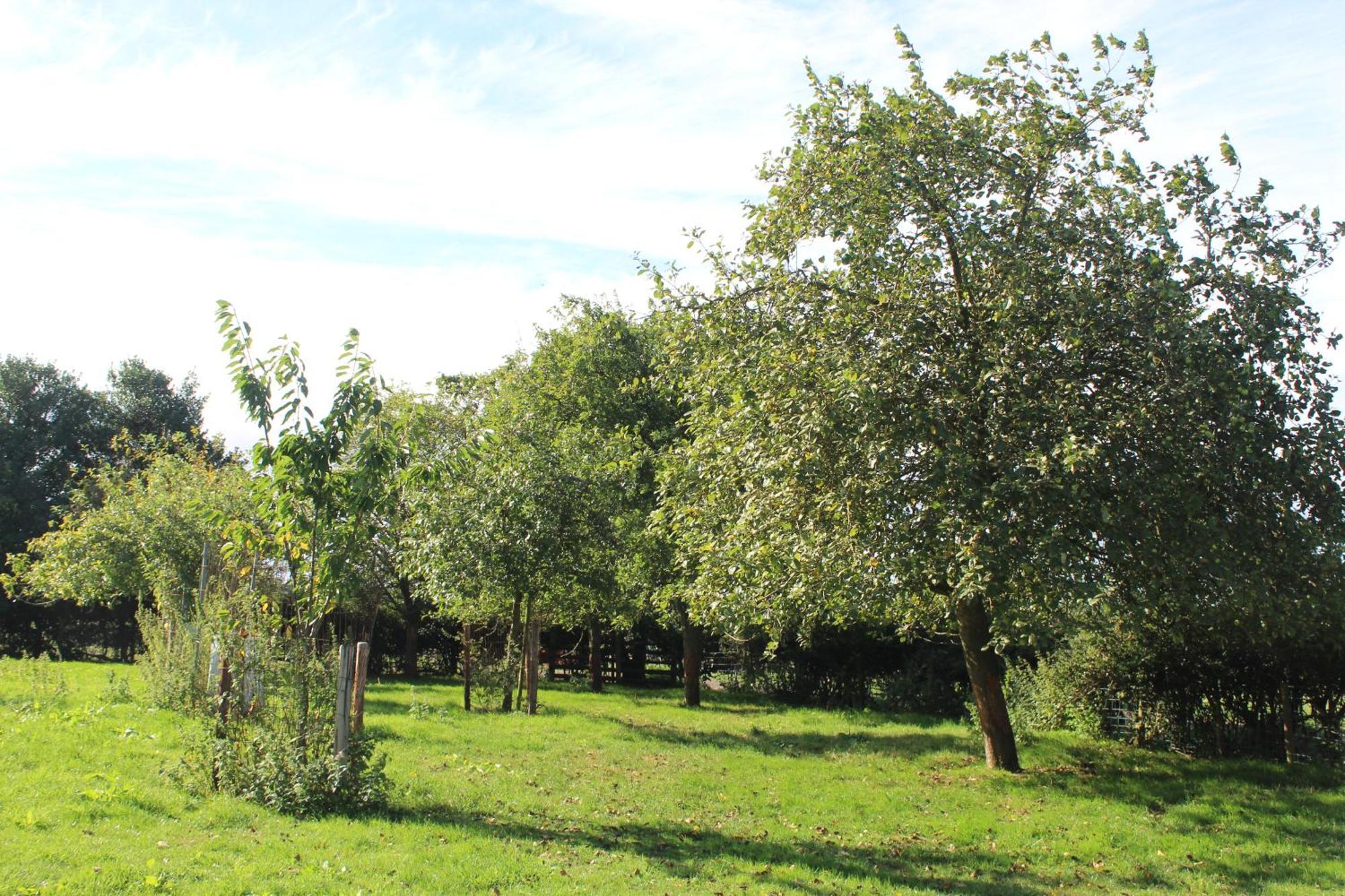 Parkfields Barns Self Catering Accommodation باكنغهام المظهر الخارجي الصورة